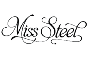 Miss Steel Promo 